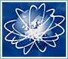 Bit Design - Web Design Agency